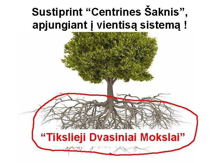 Sustiprint “Centrines Šaknis”, apjungiant į vientisą sistemą ! “Tikslieji Dvasiniai Mokslai” 