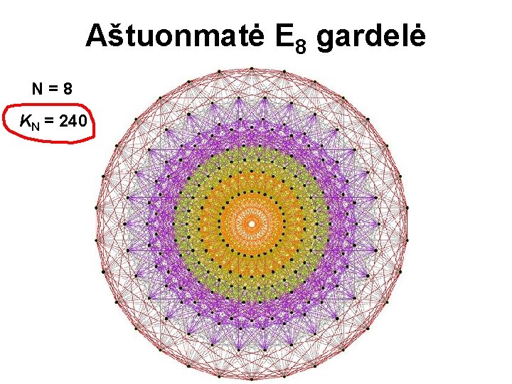 Aštuonmatė E 8 gardelė N=8 KN = 240 