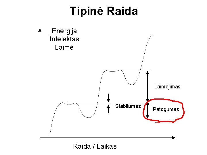 Tipinė Raida Energija Intelektas Laimėjimas Stabilumas Raida / Laikas Patogumas 