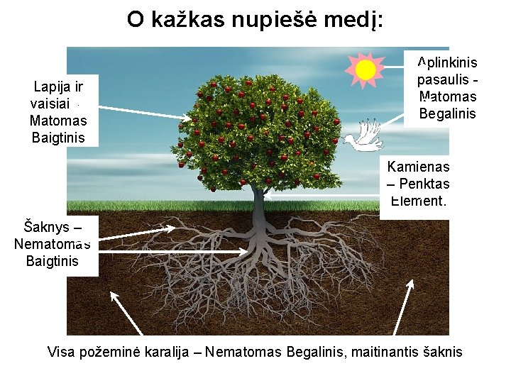 O kažkas nupiešė medį: Lapija ir vaisiai – Matomas Baigtinis Aplinkinis pasaulis Matomas Begalinis