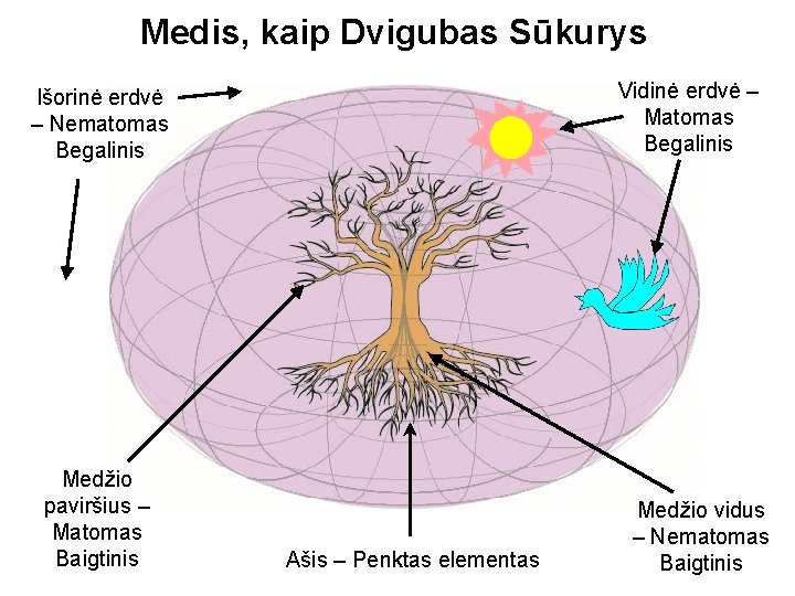 Medis, kaip Dvigubas Sūkurys Vidinė erdvė – Matomas Begalinis Išorinė erdvė – Nematomas Begalinis