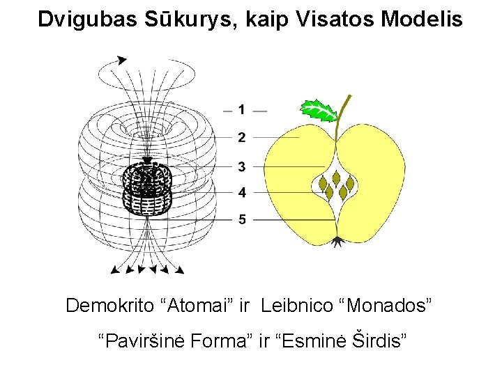 Dvigubas Sūkurys, kaip Visatos Modelis Demokrito “Atomai” ir Leibnico “Monados” “Paviršinė Forma” ir “Esminė