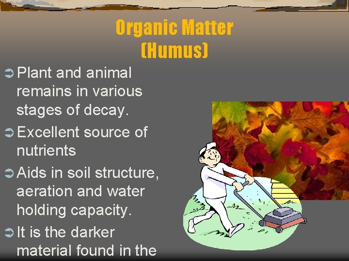 Unit 7 Forestry and Natural Resources Mr Ham