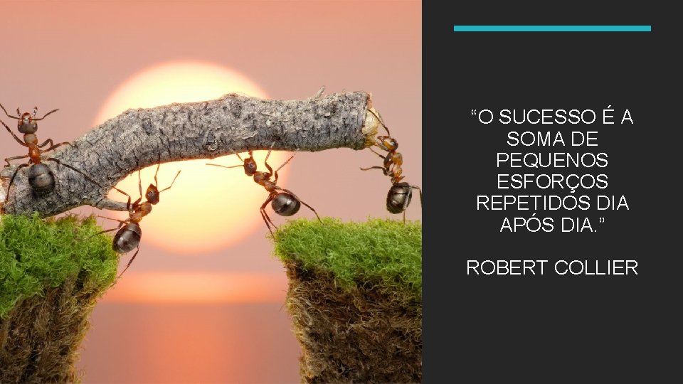 “O SUCESSO É A SOMA DE PEQUENOS ESFORÇOS REPETIDOS DIA APÓS DIA. ” ROBERT “O SUCESSO É A SOMA DE PEQUENOS ESFORÇOS REPETIDOS DIA APÓS DIA. ” ROBERT