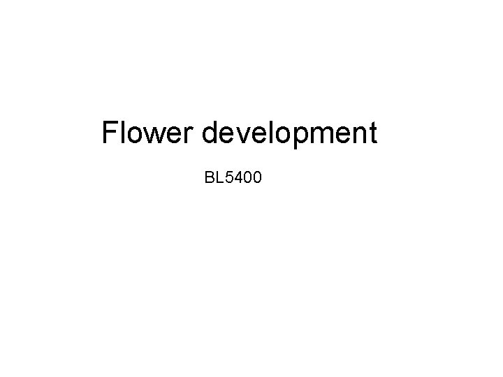 Flower development BL 5400 