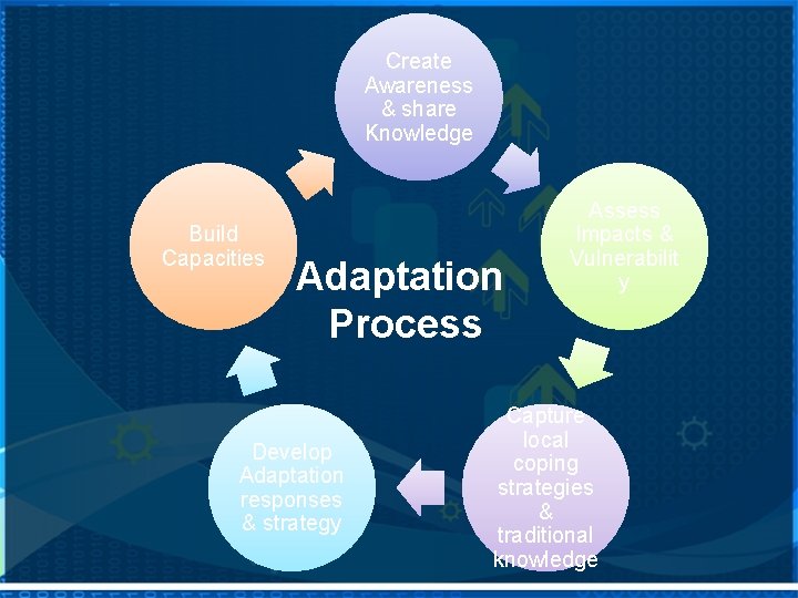 Create Awareness & share Knowledge Build Capacities Adaptation Process Develop Adaptation responses & strategy