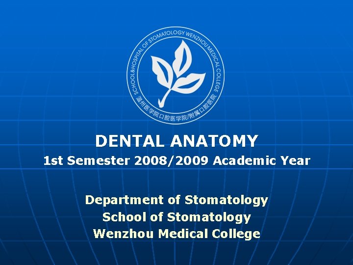 DENTAL ANATOMY 1 st Semester 2008/2009 Academic Year Department of Stomatology School of Stomatology
