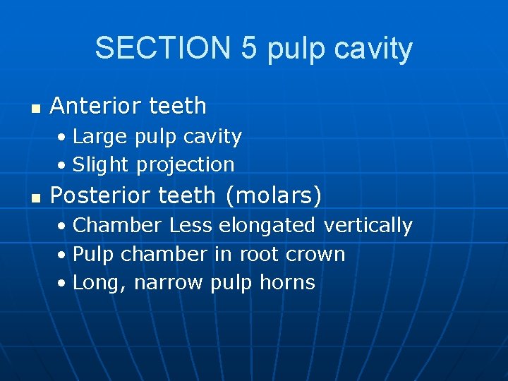 SECTION 5 pulp cavity n Anterior teeth • Large pulp cavity • Slight projection