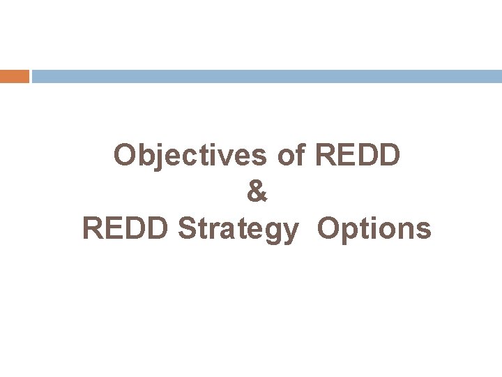 Objectives of REDD & REDD Strategy Options 