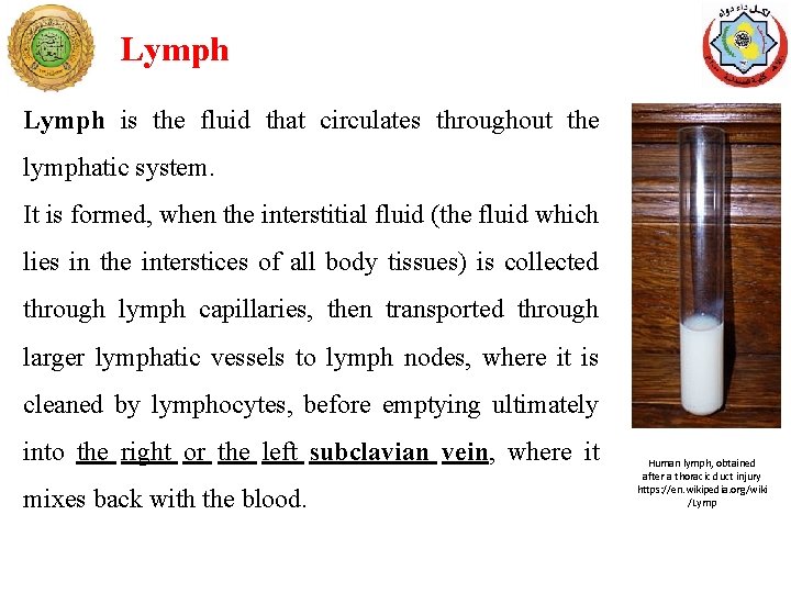 Lymph is the fluid that circulates throughout the lymphatic system. It is formed, when