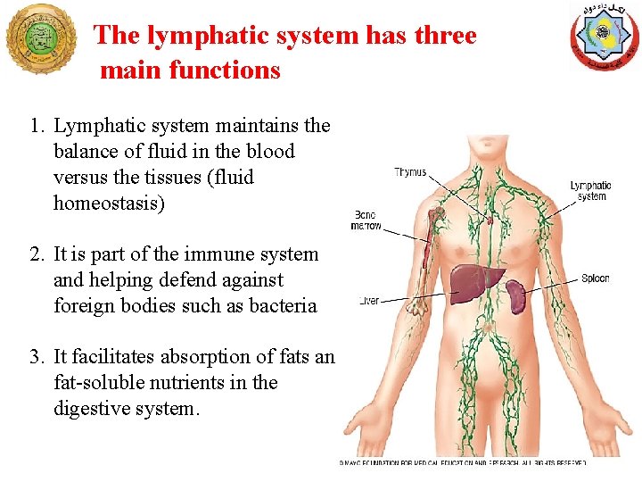 The lymphatic system has three main functions 1. Lymphatic system maintains the balance of