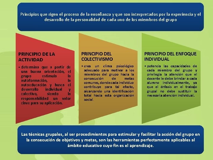 Principios que rigen el proceso de la enseñanza y que son interpretados por la