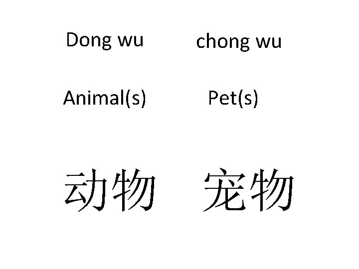 Dong wu chong wu Animal(s) Pet(s) 动物 宠物 