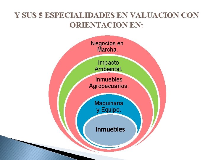 Y SUS 5 ESPECIALIDADES EN VALUACION CON ORIENTACION EN: Negocios en Marcha. Impacto Ambiental.