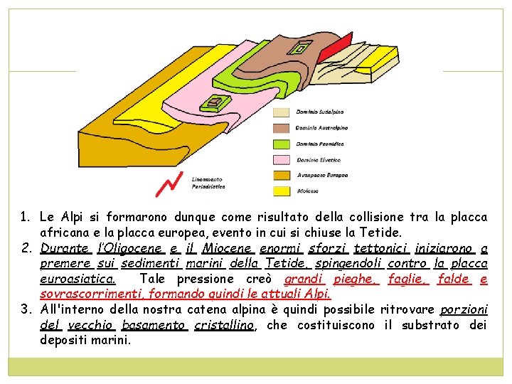 1. Le Alpi si formarono dunque come risultato della collisione tra la placca africana