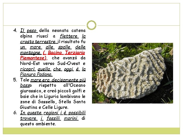 4. Il peso della neonata catena alpina riuscì a flettere la crosta terrestre, il