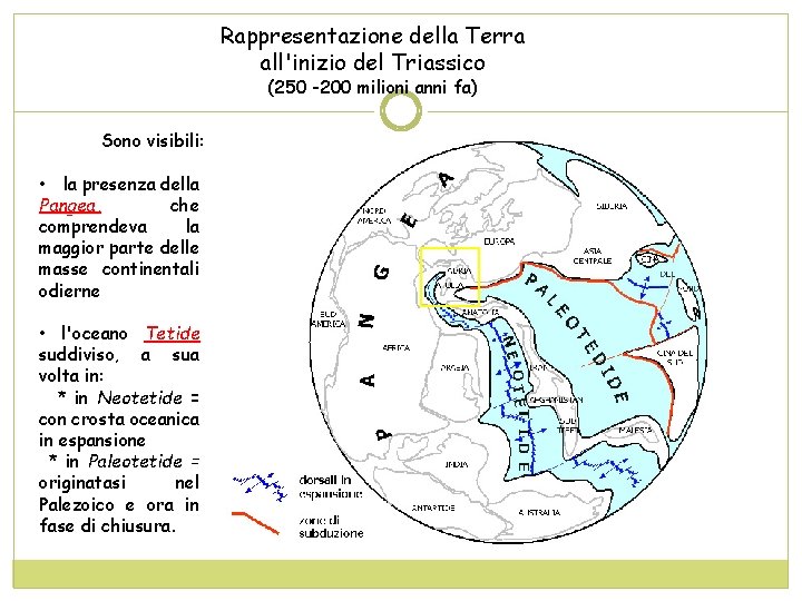 Rappresentazione della Terra all'inizio del Triassico (250 -200 milioni anni fa) Sono visibili: •