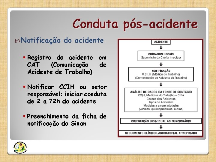 Conduta pós-acidente Notificação do acidente § Registro do acidente em CAT (Comunicação de Acidente