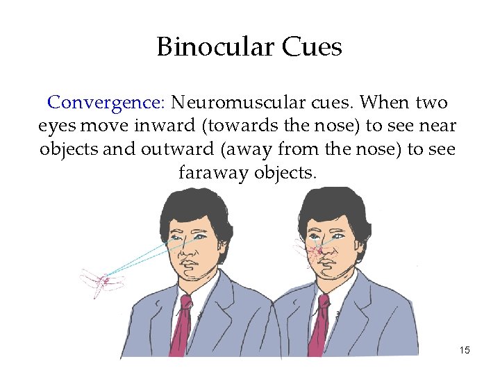 Binocular Cues Convergence: Neuromuscular cues. When two eyes move inward (towards the nose) to