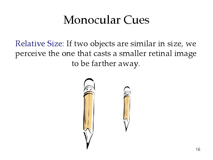 Monocular Cues Relative Size: If two objects are similar in size, we perceive the