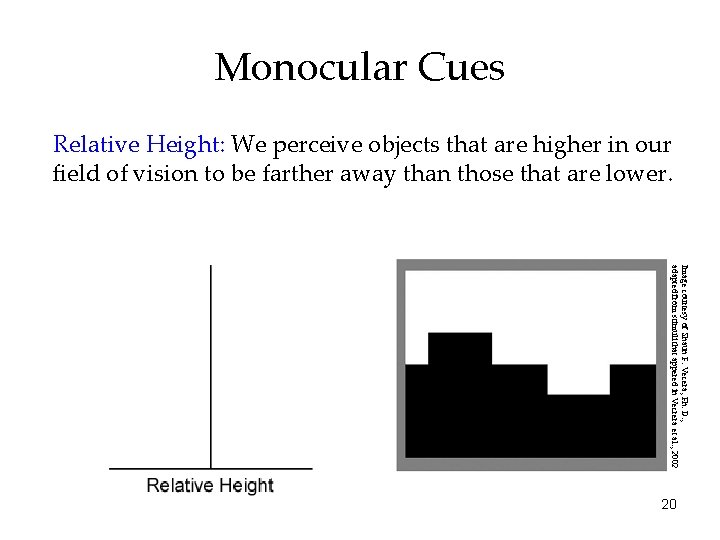 Monocular Cues Relative Height: We perceive objects that are higher in our field of