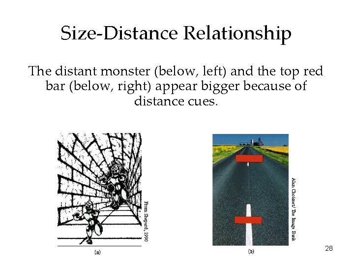 Size-Distance Relationship The distant monster (below, left) and the top red bar (below, right)