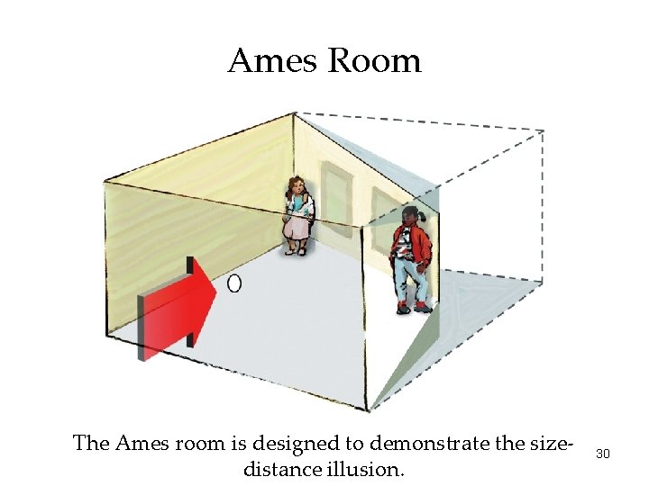 Ames Room The Ames room is designed to demonstrate the sizedistance illusion. 30 