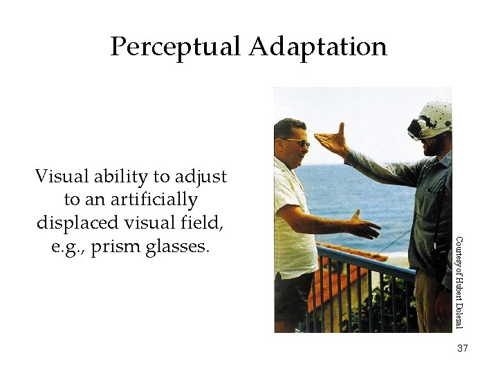 Perceptual Adaptation Courtesy of Hubert Dolezal Visual ability to adjust to an artificially displaced