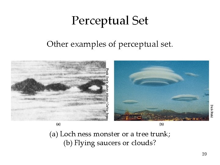 Perceptual Set Other examples of perceptual set. Dick Ruhl Frank Searle, photo Adams/ Corbis-Sygma