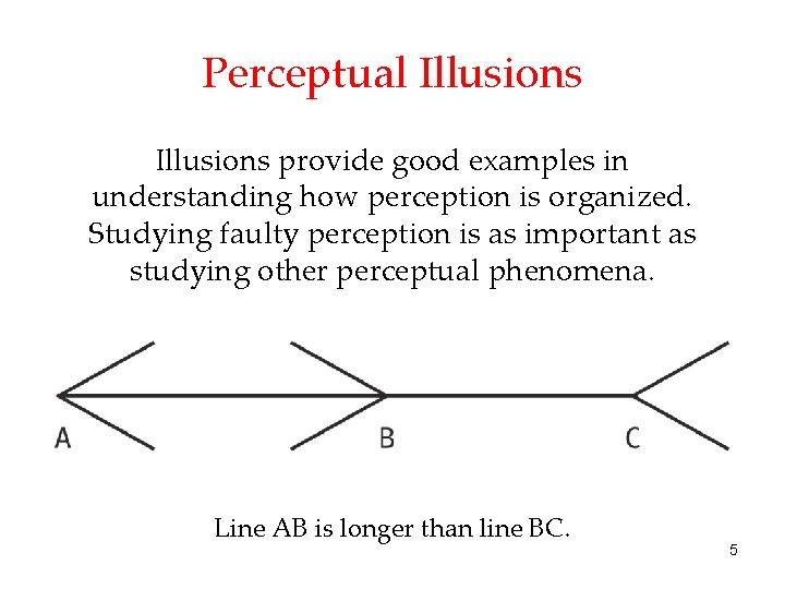 Perceptual Illusions provide good examples in understanding how perception is organized. Studying faulty perception