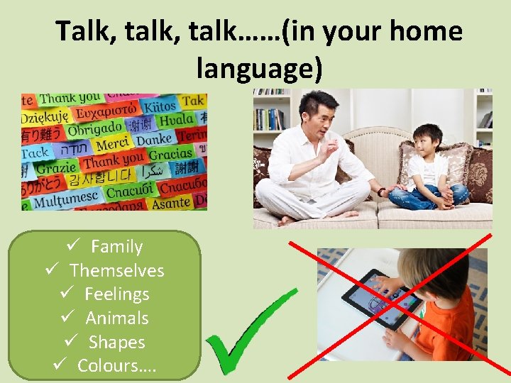 Talk, talk……(in your home language) ü Family ü Themselves ü Feelings ü Animals ü