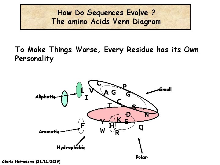 How Do Sequences Evolve ? The amino Acids Venn Diagram To Make Things Worse,