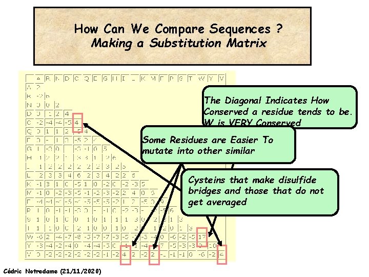 How Can We Compare Sequences ? Making a Substitution Matrix The Diagonal Indicates How