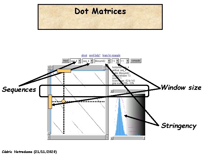 Dot Matrices Sequences Window size Stringency Cédric Notredame (21/11/2020) 