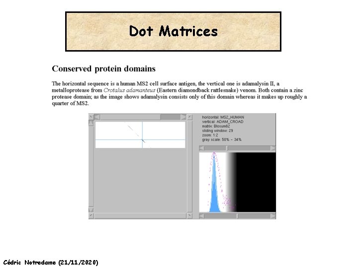 Dot Matrices Cédric Notredame (21/11/2020) 