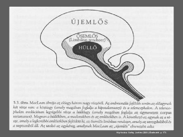 Kép forrása: Oatley, Jenkins (2001) Érzelmeink, p. 173. 