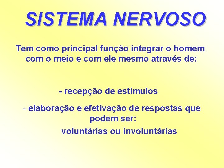 SISTEMA NERVOSO Tem como principal função integrar o homem com o meio e com