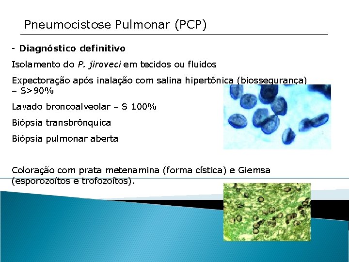 Pneumocistose Pulmonar (PCP) - Diagnóstico definitivo Isolamento do P. jiroveci em tecidos ou fluidos
