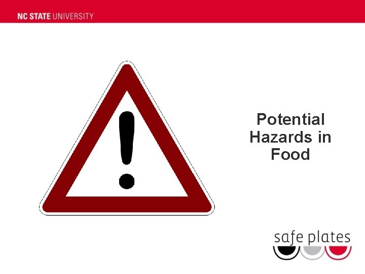 Potential Hazards in Food Potential Hazards in Food
