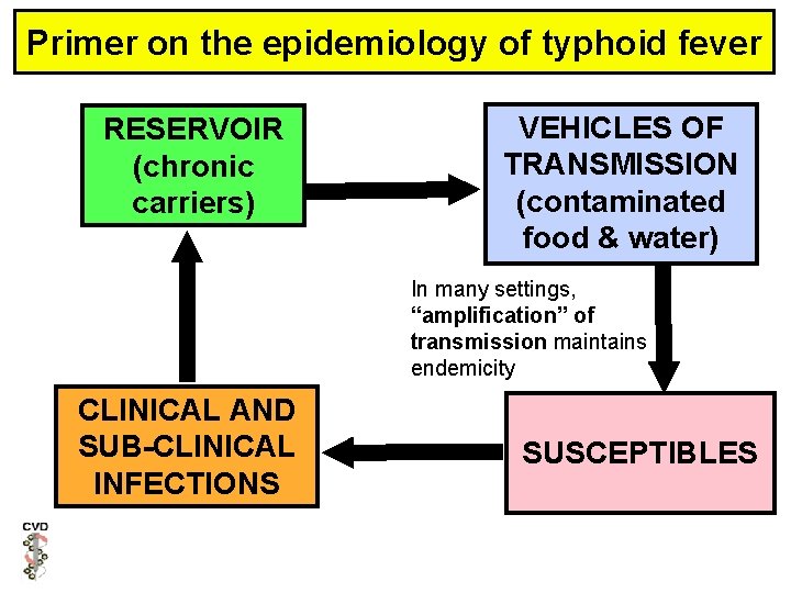 Primer on the epidemiology of typhoid fever RESERVOIR (chronic carriers) VEHICLES OF TRANSMISSION (contaminated