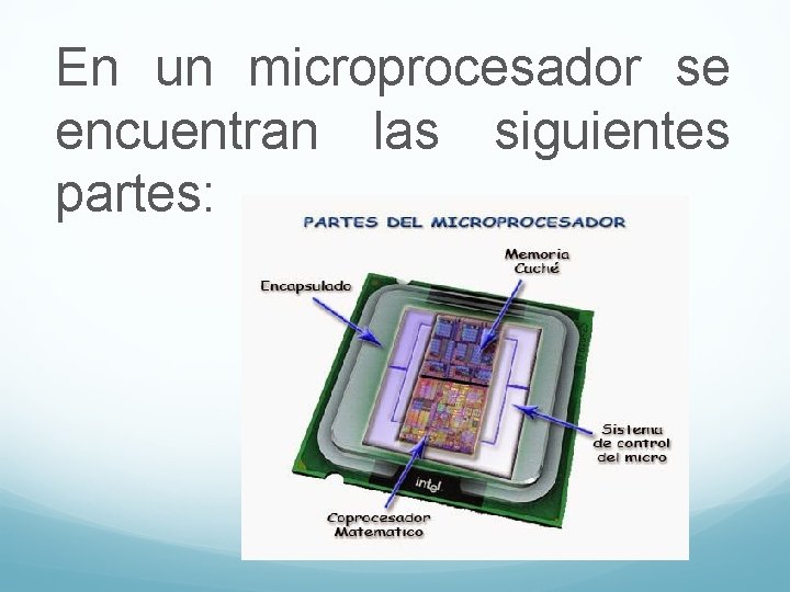 En un microprocesador se encuentran las siguientes partes: 