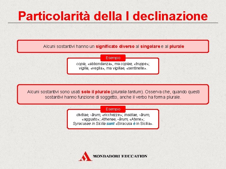 Particolarità della I declinazione Alcuni sostantivi hanno un significato diverso al singolare e al