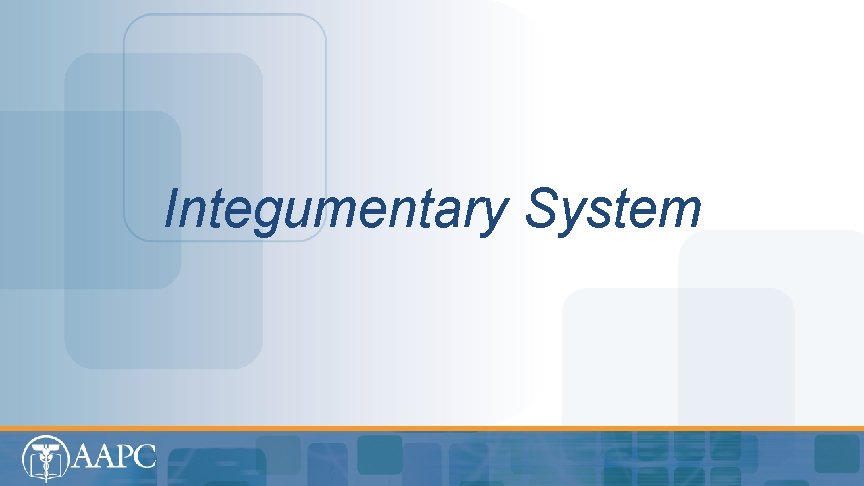 Integumentary System 