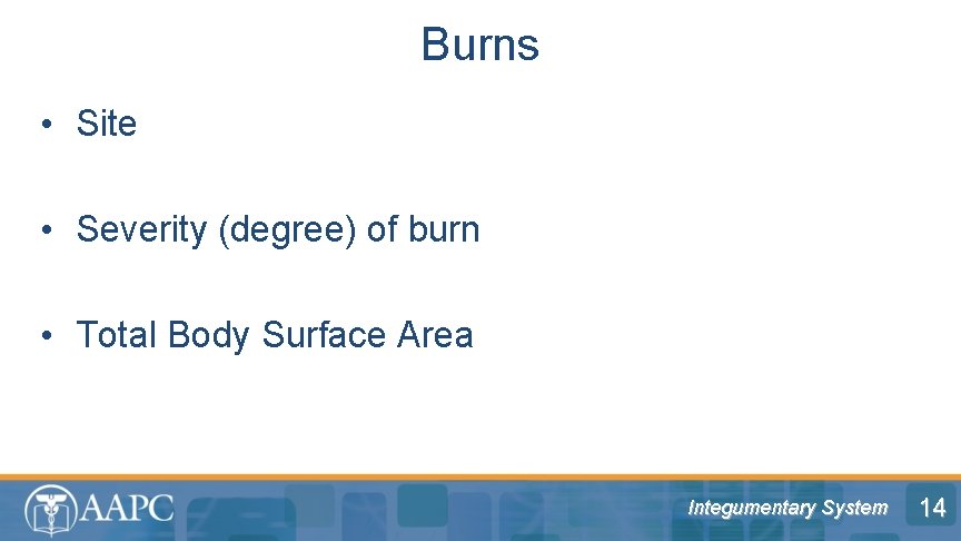 Burns • Site • Severity (degree) of burn • Total Body Surface Area Integumentary