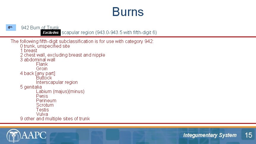 Burns 4 th 942 Burn of Trunk Excludes scapular region (943. 0 -943. 5