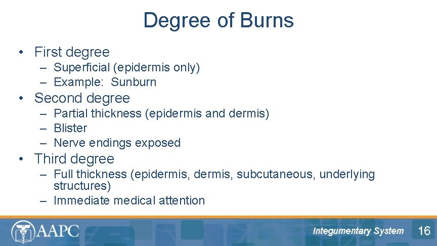 Degree of Burns • First degree – Superficial (epidermis only) – Example: Sunburn •