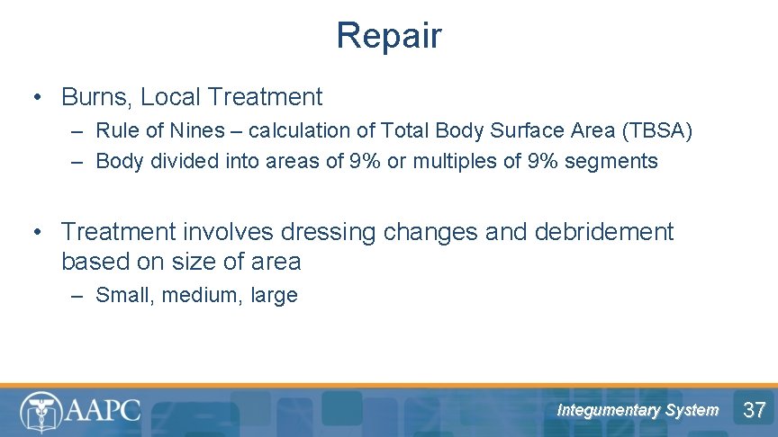 Repair • Burns, Local Treatment – Rule of Nines – calculation of Total Body