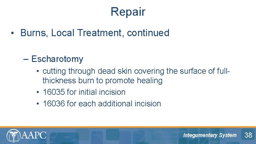 Repair • Burns, Local Treatment, continued – Escharotomy • cutting through dead skin covering