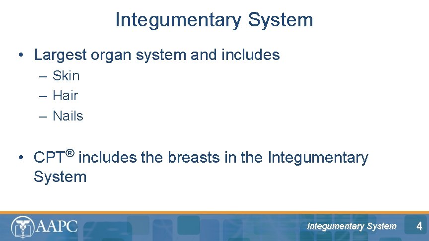 Integumentary System • Largest organ system and includes – Skin – Hair – Nails