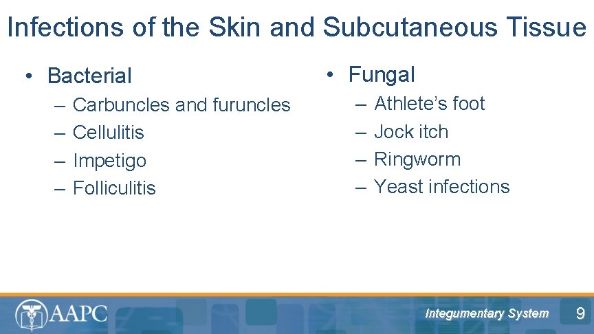 Infections of the Skin and Subcutaneous Tissue • Bacterial – – Carbuncles and furuncles